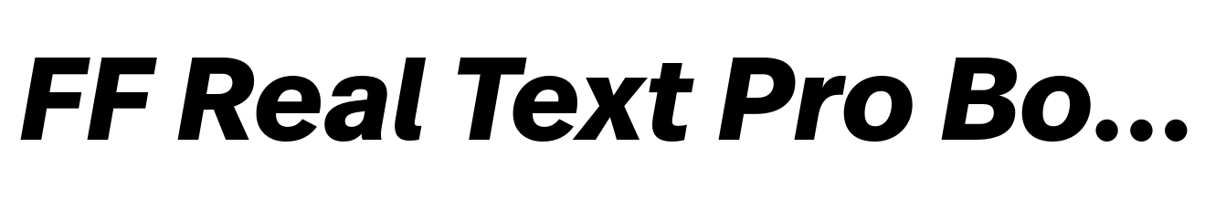 FF Real Text Pro Bold Oblique